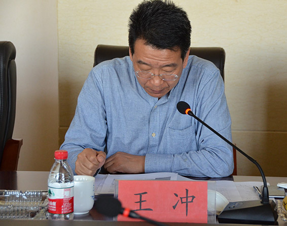 大禹节水集团公司副董事长王冲宣读《2015年年度报告》及其摘要